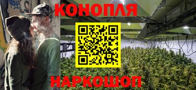 гашик Кунгур