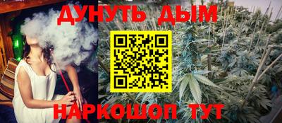 гашик Кунгур