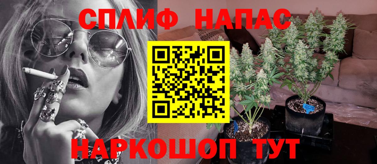 Бошки марихуана Ganja  Бошки марихуана гибрид  Гусиноозёрск  Марихуана White Widow  Вход с VPN 